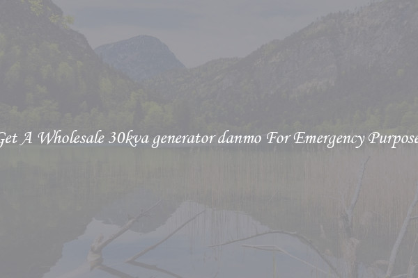 Get A Wholesale 30kva generator danmo For Emergency Purposes
