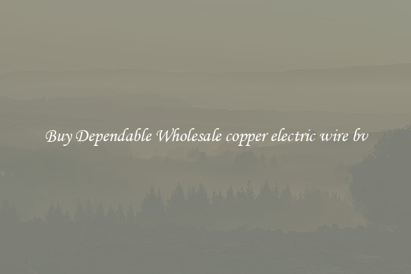 Buy Dependable Wholesale copper electric wire bv