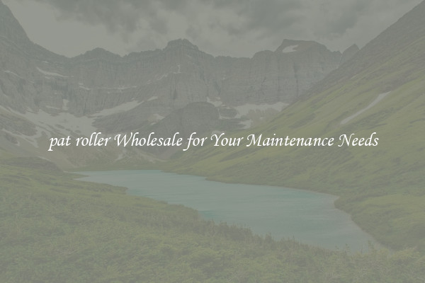pat roller Wholesale for Your Maintenance Needs