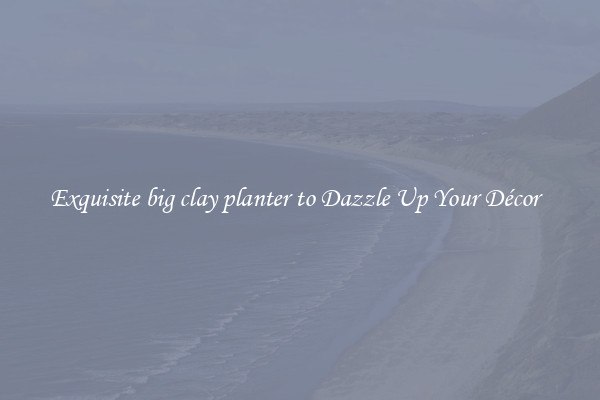 Exquisite big clay planter to Dazzle Up Your Décor  