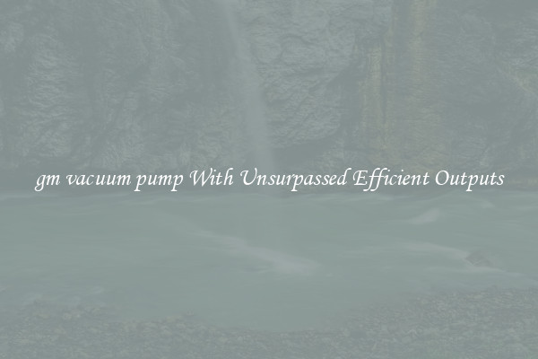 gm vacuum pump With Unsurpassed Efficient Outputs