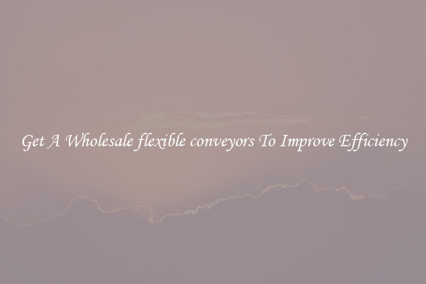 Get A Wholesale flexible conveyors To Improve Efficiency