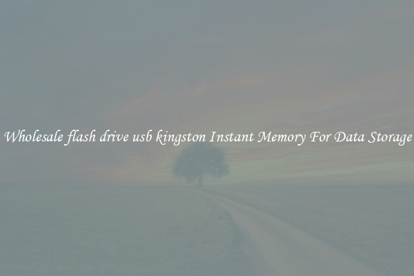 Wholesale flash drive usb kingston Instant Memory For Data Storage