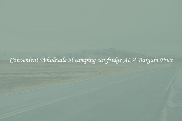 Convenient Wholesale 5l camping car fridge At A Bargain Price