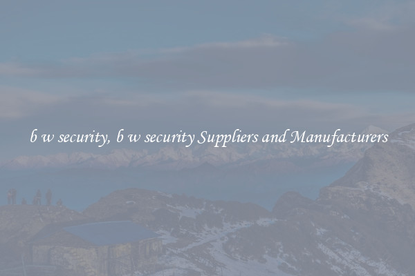 b w security, b w security Suppliers and Manufacturers