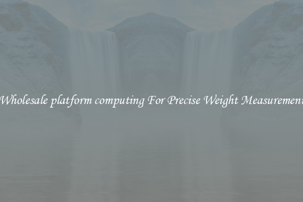 Wholesale platform computing For Precise Weight Measurement
