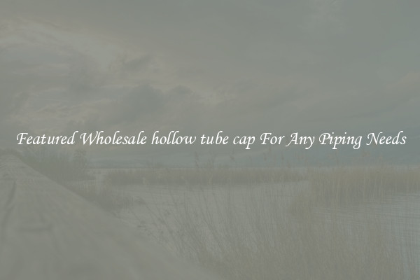 Featured Wholesale hollow tube cap For Any Piping Needs