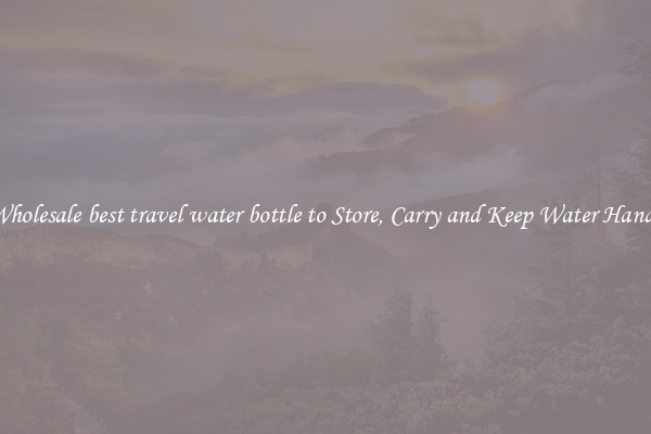 Wholesale best travel water bottle to Store, Carry and Keep Water Handy