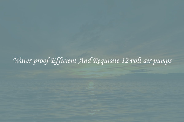 Water-proof Efficient And Requisite 12 volt air pumps
