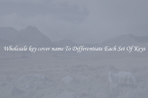 Wholesale key cover name To Differentiate Each Set Of Keys