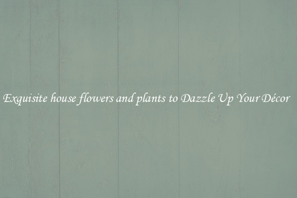 Exquisite house flowers and plants to Dazzle Up Your Décor  