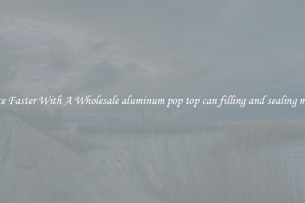 Produce Faster With A Wholesale aluminum pop top can filling and sealing machine