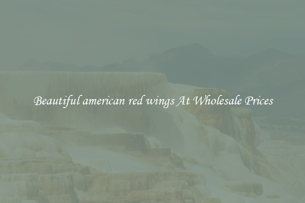 Beautiful american red wings At Wholesale Prices