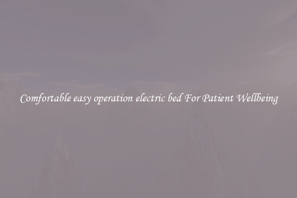Comfortable easy operation electric bed For Patient Wellbeing