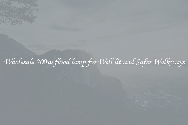 Wholesale 200w flood lamp for Well-lit and Safer Walkways