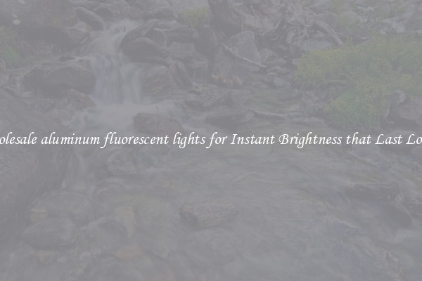 Wholesale aluminum fluorescent lights for Instant Brightness that Last Longer