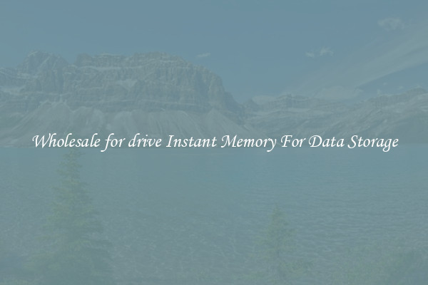 Wholesale for drive Instant Memory For Data Storage