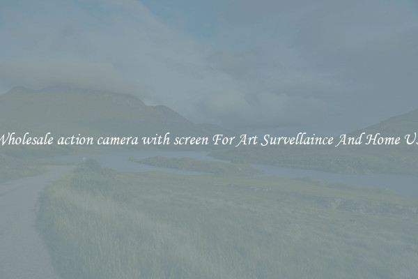 Wholesale action camera with screen For Art Survellaince And Home Use
