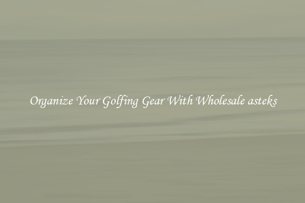 Organize Your Golfing Gear With Wholesale asteks