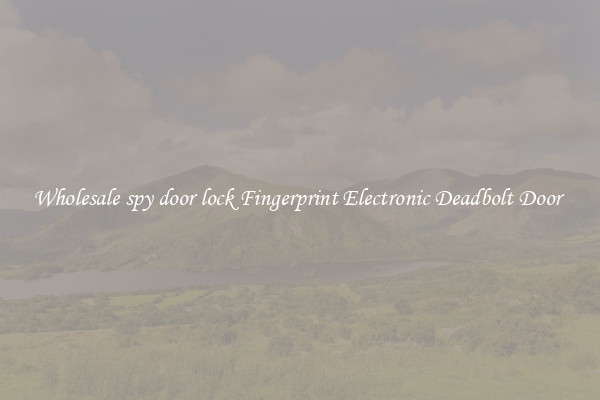 Wholesale spy door lock Fingerprint Electronic Deadbolt Door 