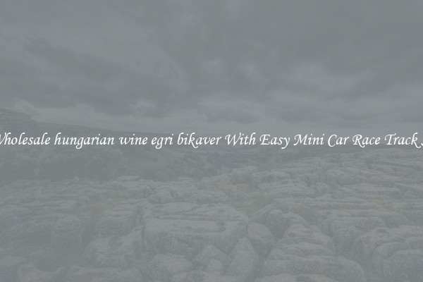Buy Wholesale hungarian wine egri bikaver With Easy Mini Car Race Track Set Up