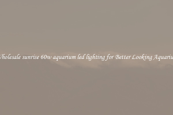 Wholesale sunrise 60w aquarium led lighting for Better Looking Aquarium